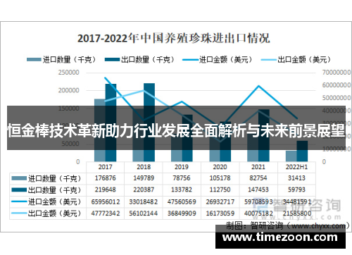 恒金棒技术革新助力行业发展全面解析与未来前景展望